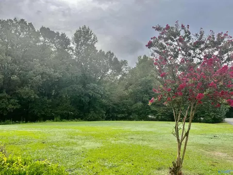 24107 County Road 460, Trinity, AL 35673 photo 43