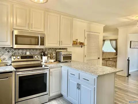 24107 County Road 460, Trinity, AL 35673 photo 12
