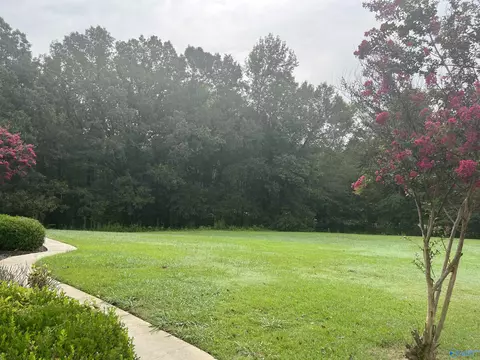 24107 County Road 460, Trinity, AL 35673 photo 42