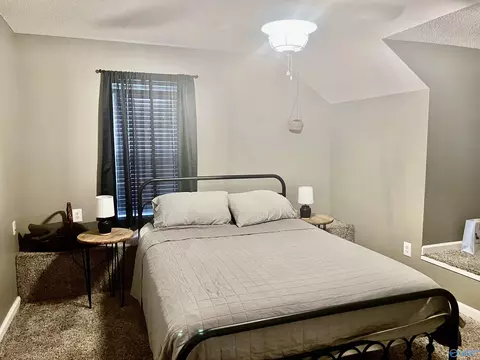 24107 County Road 460, Trinity, AL 35673 photo 31