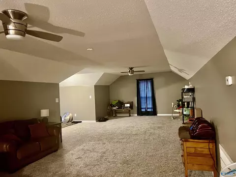 24107 County Road 460, Trinity, AL 35673 photo 34