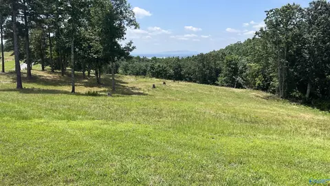 lot52 County Road 767 #LOT 52, Cedar Bluff, AL 35959