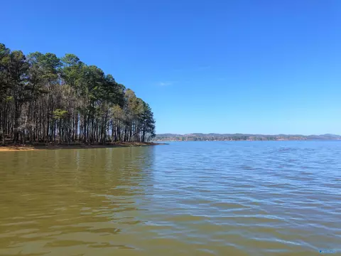 lot4 Little River Lndg, Cedar Bluff, AL 35959