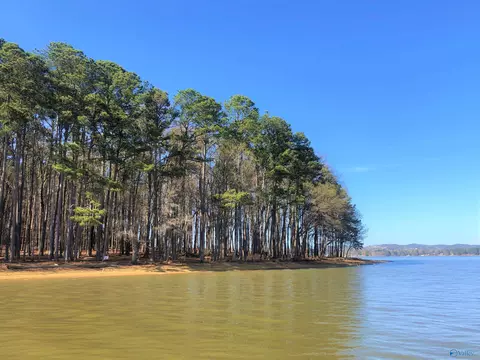 lot5 Little River Lndg, Cedar Bluff, AL 35959