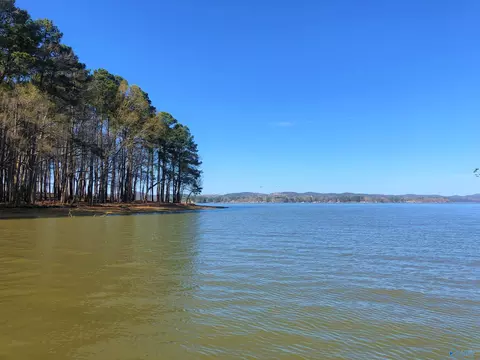 lot7 Little River Lndg, Cedar Bluff, AL 35959