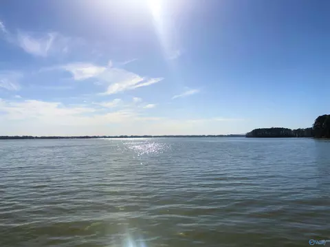 lot8 Little River Lndg, Cedar Bluff, AL 35959