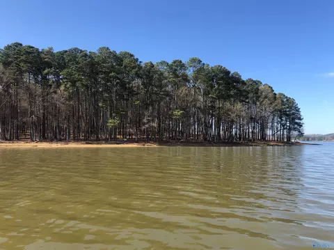 lot9 Little River Lndg, Cedar Bluff, AL 35959