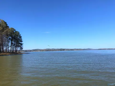 lot13 Little River Lndg, Cedar Bluff, AL 35959