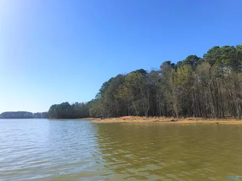 lot16 Little River Lndg, Cedar Bluff, AL 35959