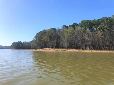 lot17 Little River Lndg, Cedar Bluff, AL 35959