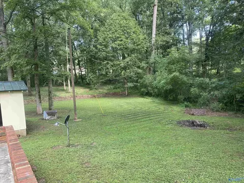 99 County Road 373, Trinity, AL 35673 photo 8