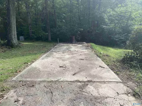99 County Road 373, Trinity, AL 35673 photo 10