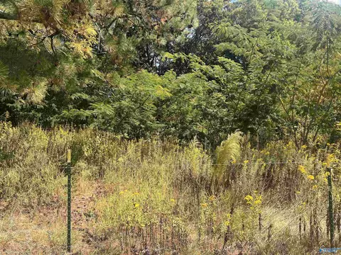 38 Lemons Rd, Grant, AL 35747 photo 1