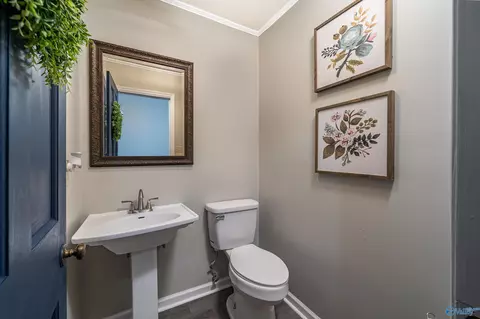 54 Sparks St, Trinity, AL 35673 photo 20