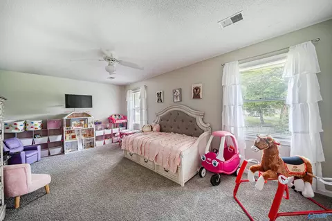 54 Sparks St, Trinity, AL 35673 photo 33
