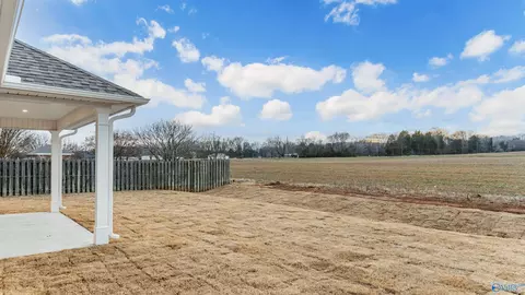 62 Owensby Way, Trinity, AL 35673 photo 9