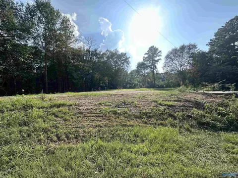 609 Battery Loop, Hamilton, AL 35570 photo 1