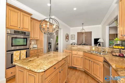 106 Appleton Ln, Madison, AL 35756 photo 20
