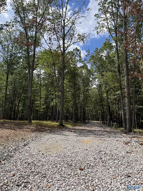15063 Wade Point Rd, Huntsville, AL 35803
