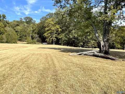 1910 Lingerlost Rd, Killen, AL 35645 photo 14