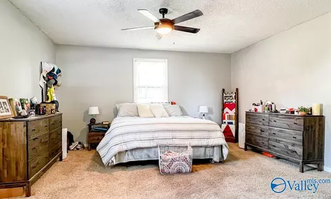 2481 County Road 358, Trinity, AL 35673 photo 5
