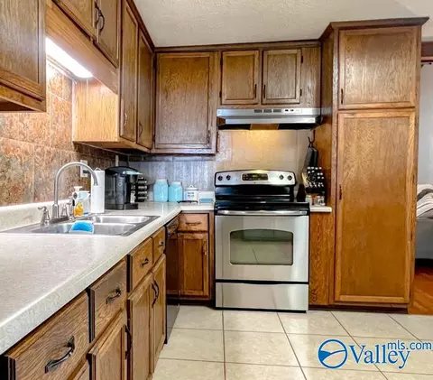 2481 County Road 358, Trinity, AL 35673 photo 4