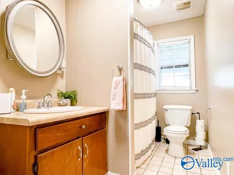 2481 County Road 358, Trinity, AL 35673 photo 7