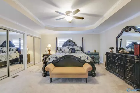 24258 County Road 460, Trinity, AL 35673 photo 19