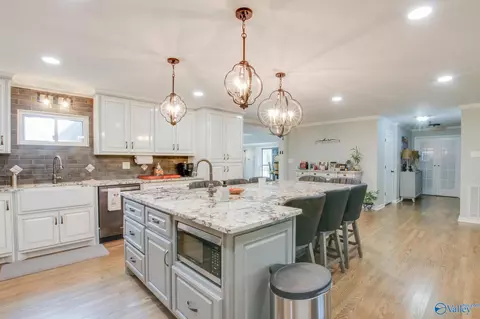 24258 County Road 460, Trinity, AL 35673 photo 16