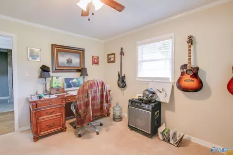 24258 County Road 460, Trinity, AL 35673 photo 30