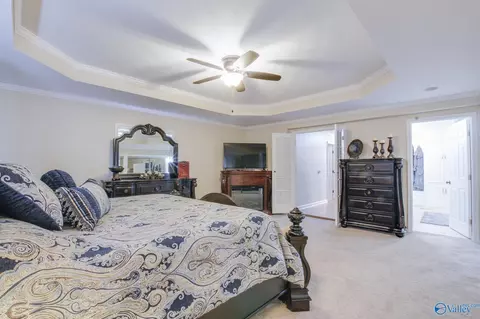 24258 County Road 460, Trinity, AL 35673 photo 20