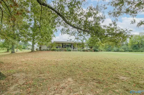 24258 County Road 460, Trinity, AL 35673 photo 5