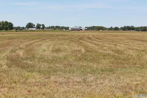 6 Highway 55 East, Falkville, AL 35622