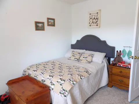 2235 Cedar Bend Rd, Southside, AL 35907 photo 14