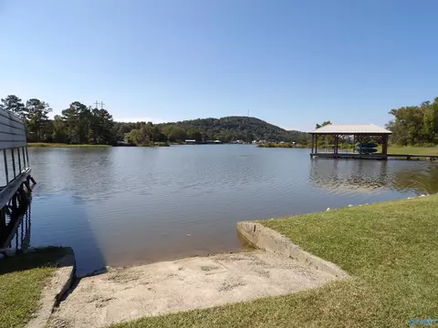 2235 Cedar Bend Rd, Southside, AL 35907 photo 33