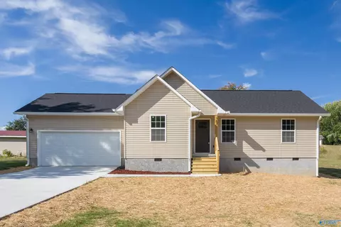 167 Mountain Dale Cir, Section, AL 35771 photo 1