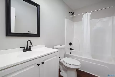 167 Mountain Dale Cir, Section, AL 35771 photo 15