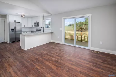 167 Mountain Dale Cir, Section, AL 35771 photo 11