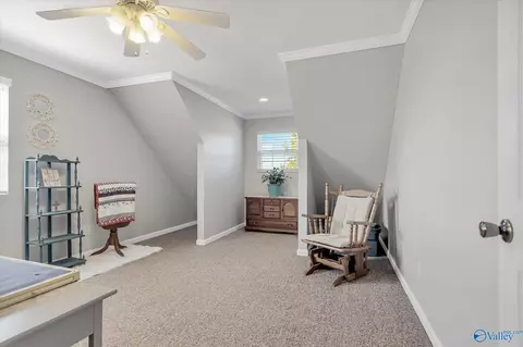8960 County Road 19, Section, AL 35771 photo 26