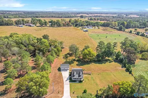 8960 County Road 19, Section, AL 35771 photo 34