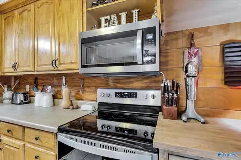 8960 County Road 19, Section, AL 35771 photo 11