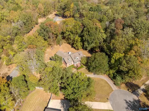 75 Cedar View Ct, Killen, AL 35645 photo 49