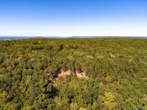 159 Winterview Dr, Gurley, AL 35748 photo 17