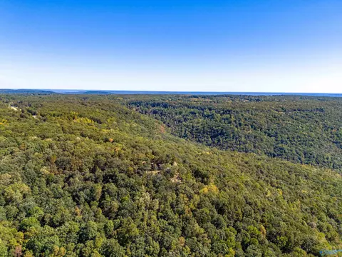 159 Winterview Dr, Gurley, AL 35748 photo 16