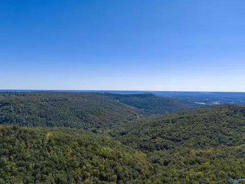159 Winterview Dr, Gurley, AL 35748 photo 3