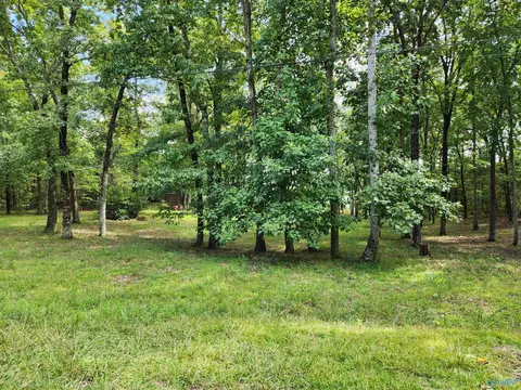 159 Winterview Dr, Gurley, AL 35748 photo 6