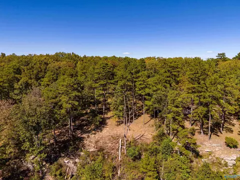 159 Winterview Dr, Gurley, AL 35748 photo 19