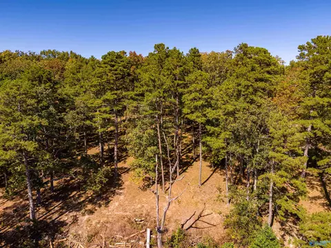 159 Winterview Dr, Gurley, AL 35748 photo 20