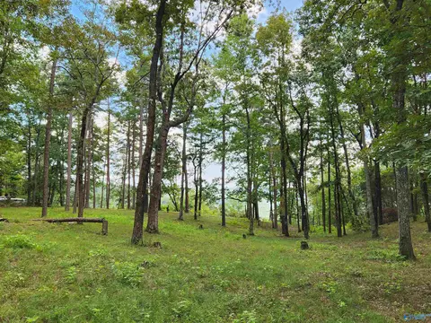 159 Winterview Dr, Gurley, AL 35748 photo 7