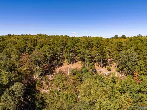 159 Winterview Dr, Gurley, AL 35748 photo 18
